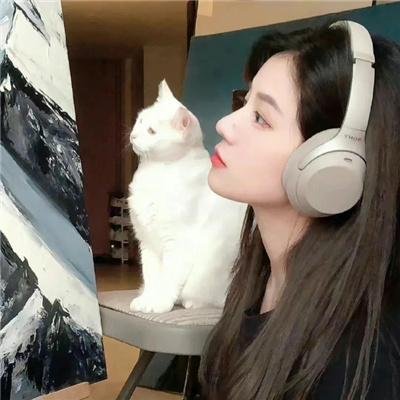 巴斯特·基顿归来