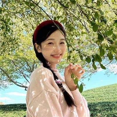 金车美人
