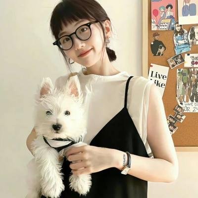 灵书妙探第六季
